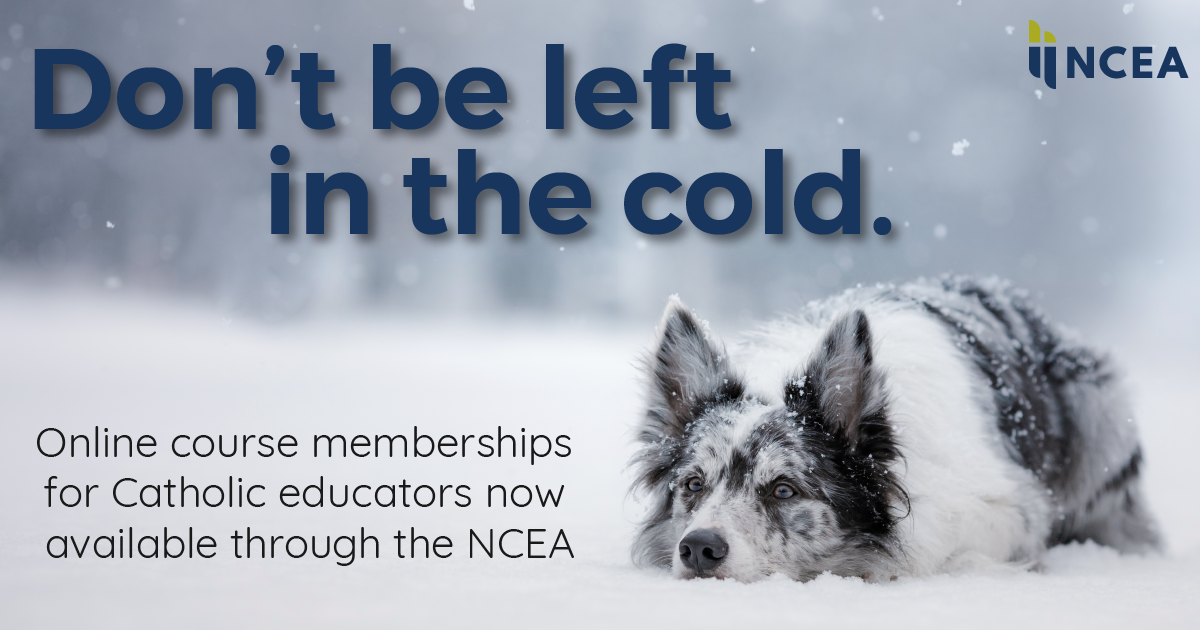 Online Continuing Education Courses for Educators