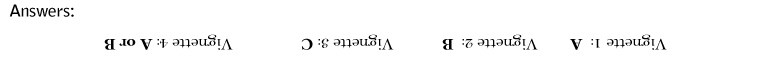 Answer Key