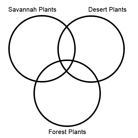 Venn Diagram