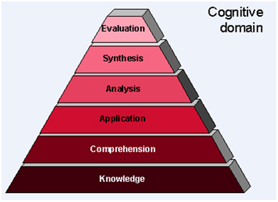 Cognitive Domain
