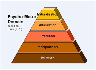 Psycho-Motor Domain